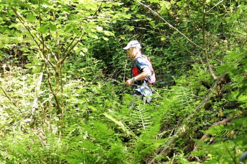 Trails4Germany Koblenz